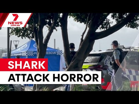 Youth narrowly escapes fatal shark attacks; Sydney Fish Market