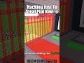 Hacking Just To Steal A Pipi Kiwi Hacking Just To Steal A Pipi Kiwi