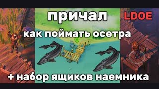 Проверка мифов, как правильно поймать осетра на пирсе, набор ящиков наемника LDOE