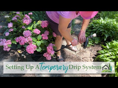 Setting Up A Temporary Drip System - ???