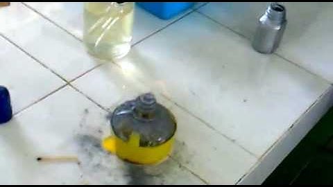 Đội tuyển TNTH THCS Lưu Văn Lang TX Sa Đéc 2012 - 2013