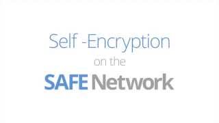 The SAFE Network | Self Encryption screenshot 4