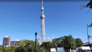 Japan Tour day 11 - Sumida Park Tokyo 26 April 2024