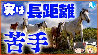 【意外】四足歩行の生き物が長距離を走ることができない理由とは？【ゆっくり解説】