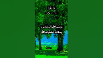 تلاوة خاشعة بصوت يريح النفس #تلاوة #اكسبلور #aslam #duet #trend #قران_كريم #راحة_نفسية #المصحف