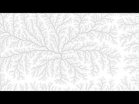 2D Diffusion Limited Aggregation (DLA) Simulation | White | 1 seed