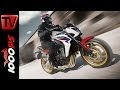 Honda Cb650f 2014 Top Speed