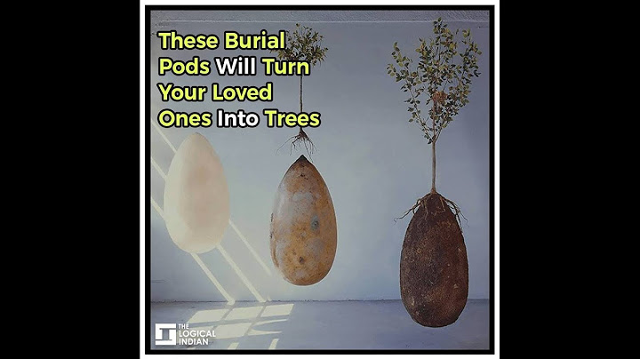 These Burial Pods Will Turn Your Loved Ones Into Trees