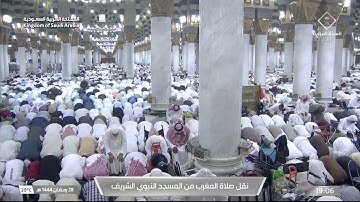 صلاة المغرب|للشيخ علي الحذيفي 28 رمضان 1444هـ |خواتيم سورة يس 71 - 83