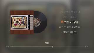 청춘 (Feat. 김창완) - 김필 (응답하라 1988 OST) [실시간 가사]