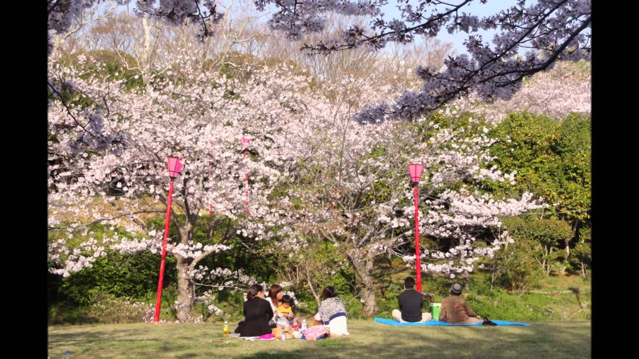 白浜駅から 平草原公園へのアクセス おすすめの行き方を紹介します 関西のお勧めスポットのアクセス方法と楽しみ方