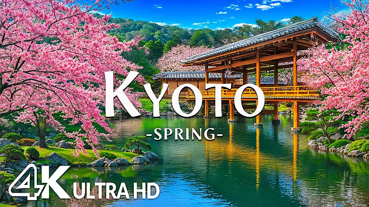 Spring Kyoto 4K, Japan – Stroll Through Sakura Blossoms, Petal-Filled Paths, and Blooming Gardens