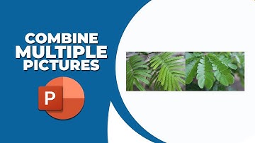 How to combine multiple pictures into one in PowerPoint