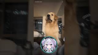 The Only Way To Stop Me From Crashing Out