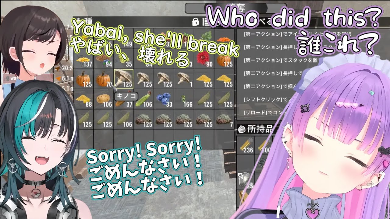 Towa Breaks Down over Chihaya's inability to Organize【Hololive】