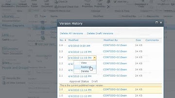SharePoint 2010 Visio Repository Site Template.OOTB - EPC Group