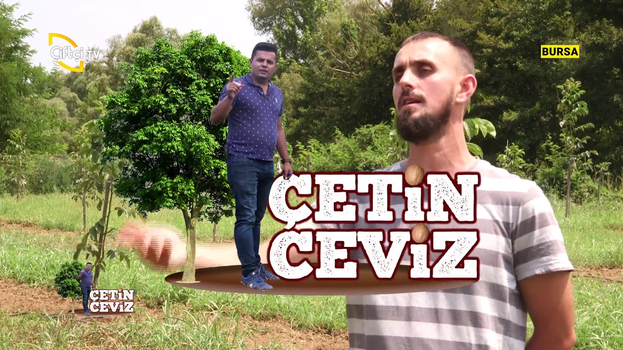 Fidanlarda Dönemsel Bakımlar - Çetin Ceviz / Çiftçi TV