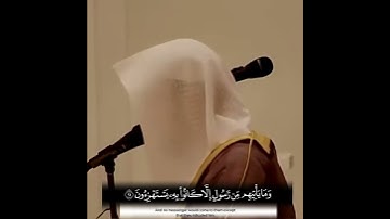 ماتيسر من سورة الحجر تلاوه هادئه ناصر القطامي