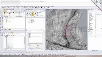 Fixing a 3D Scanned Mesh in Rhino3DPRINT 2017
