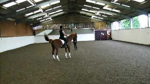 Tracey Lawson teaching Alf how to move away from l...