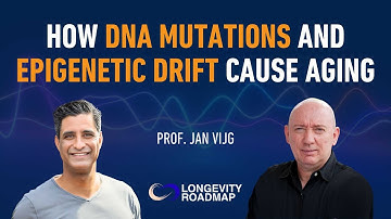 Hoe DNA-mutaties en epigenetische drift veroudering veroorzaken met prof. Jan Vijg @EinsteinColle...