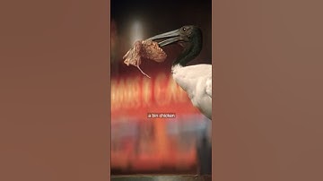 Boost Mobile... Works its arse off