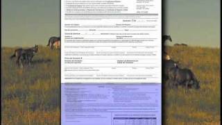 Tutorial del Reporte de Transferencia de AQHA