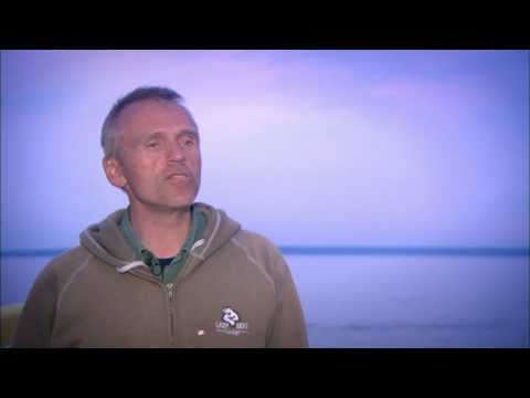 Video: Schnorcheln Mit 50.000 Belugawalen In Churchill, Kanada [VID] - Matador Network