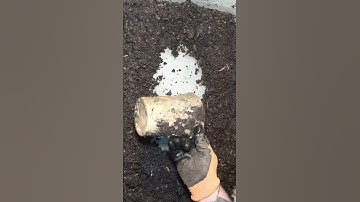 Feeding a Worm Bin #vermicomposting #worms #wormfarm #vermicompost #shorts #shortvideo