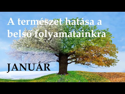 Videó: Hogyan szereljük fel a belső tégla furnért?