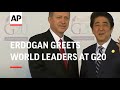 Erdogan greets world leaders at G20