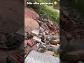 Veja até o final 😳#videos #shortsfeed