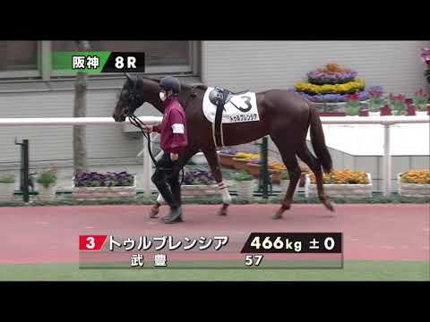 今日の勝ち馬パドック　1回阪神8日　【2021/3/7】