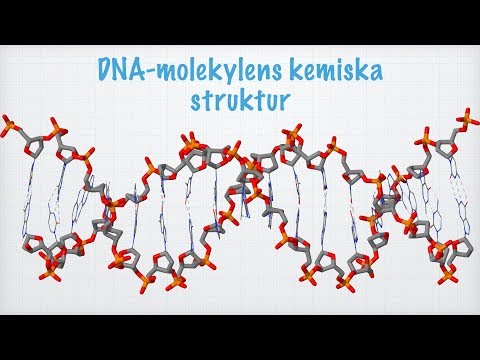 Video: Skillnad Mellan DNA-polymeras 1 2 Och 3