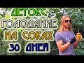 Детокс -  очищение организма. Условное голодание на соках 30 дней.