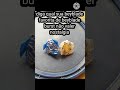 Qual sua beyblade favorita não valer nostalgia #beybladevictory