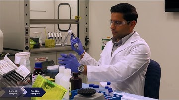 Sample preparation for qPCR workflows in animal health – Part 1 of 2