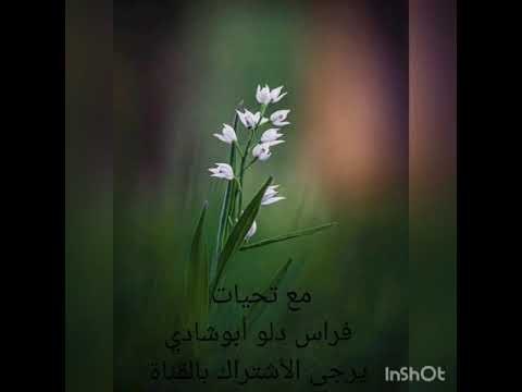 صور لكبار السن على أغنية ألنا الله