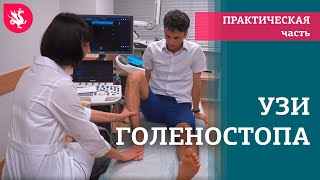 УЗИ голеностопного сустава: техника сканирования