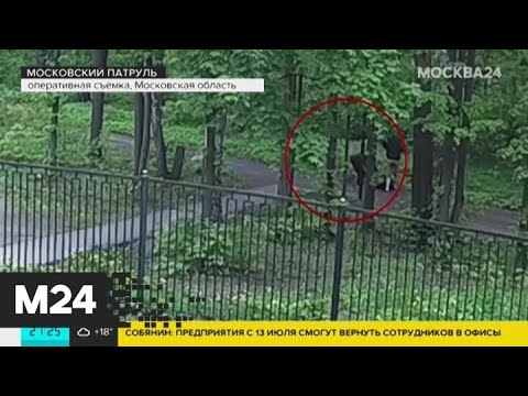"Московский патруль": налет на пенсионера попал в объектив камеры наблюдения - Москва 24