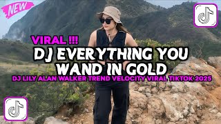 DJ EVERYTHING YOU WAND IN GOLD DJ LILY ALAN WALKER TREND VELOCITY VIRAL TIKTOK TERBARU 2025!!!