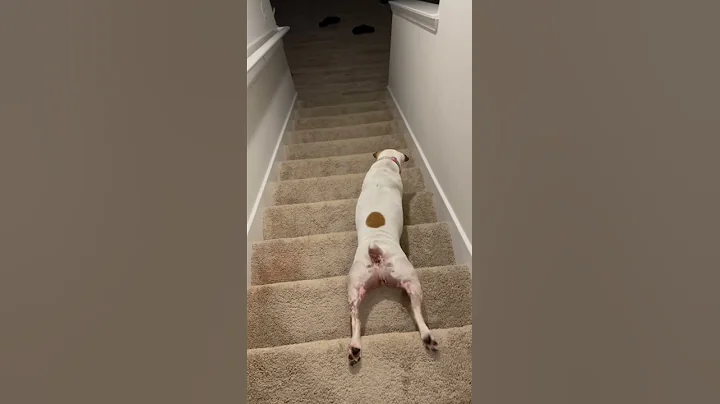 Starla stairs