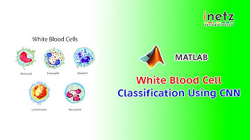 White Blood Cell Classification Using Convolutional Neural Network