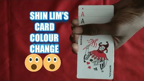SHIN LIM