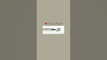 قران كريم حالات واتس اب /ستوري /القارئ سالم الرويلي /سورة البقرة