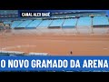🇪🇪⚫️⚽️🔵 Os passos do Grêmio para recuperar o gramado da Arena.