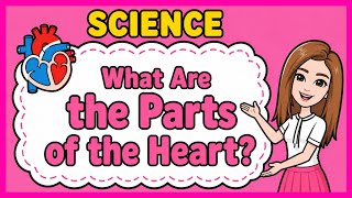 💟 (SCIENCE) What Are the Parts of the Heart? | #iQuestionPH