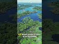 The Green Ocean of the Amazon Will Shock You 🤯 #beautifuldestinations #dangerousplaces #history