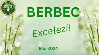 BERBEC MAI 2024 - EXCELEZI! TRANSFER SAU SCHIMBARE! O IDEE EXCELENTA!
