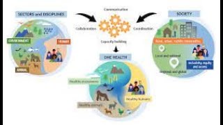 Armonizando salud y hábitat: Interconectividad de enfermedades no transmisibles y cambio climático